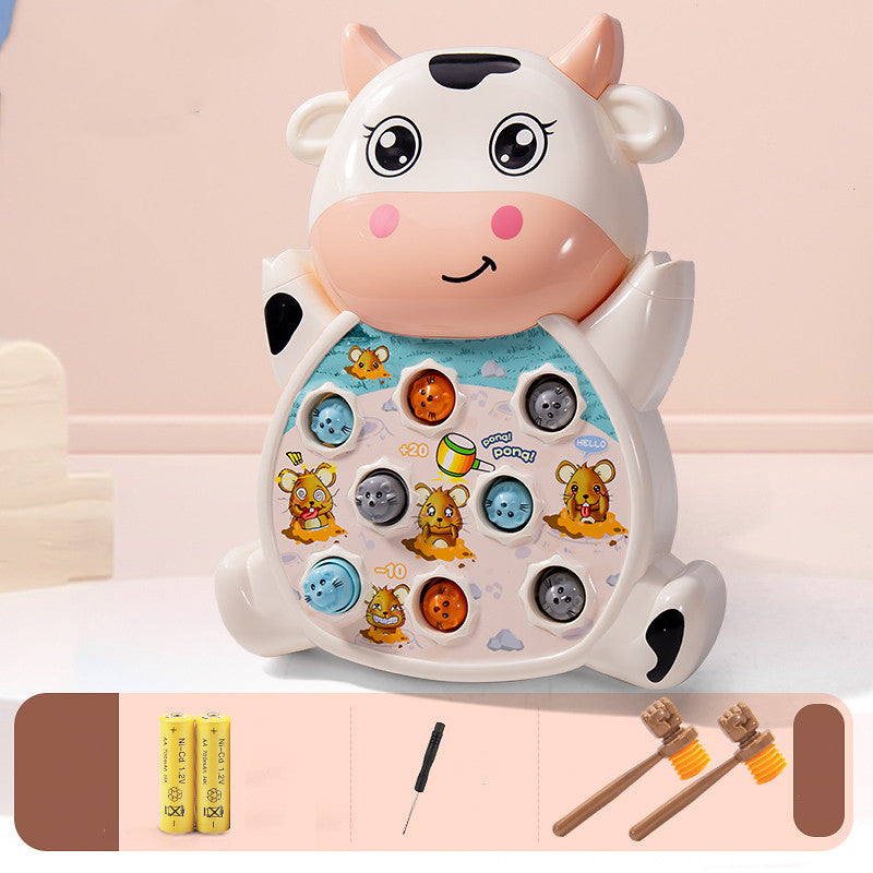 Playing Hamster Toys Early Childhood Education