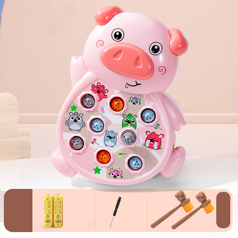 Playing Hamster Toys Early Childhood Education