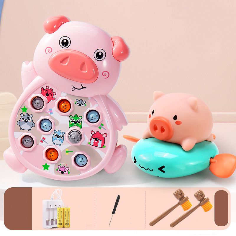 Playing Hamster Toys Early Childhood Education