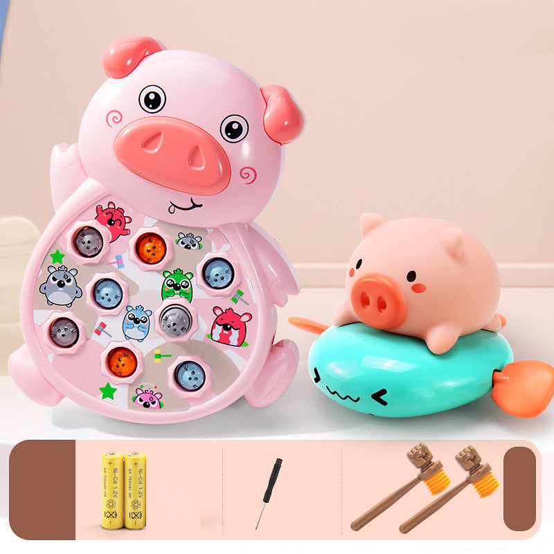 Playing Hamster Toys Early Childhood Education