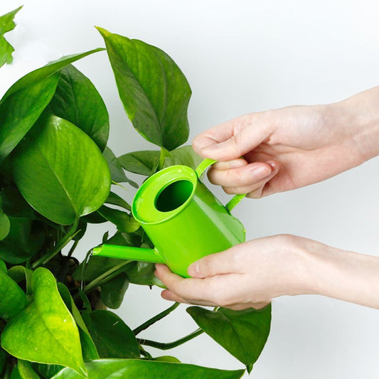Children's Teaching Aids Watering Can Early Education Toys
