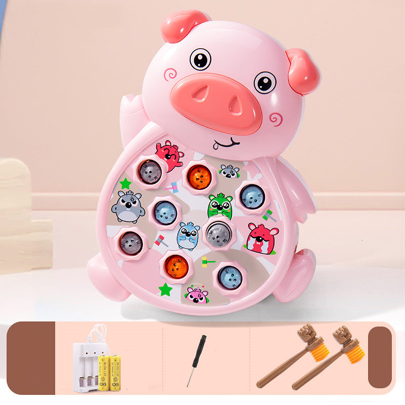 Playing Hamster Toys Early Childhood Education