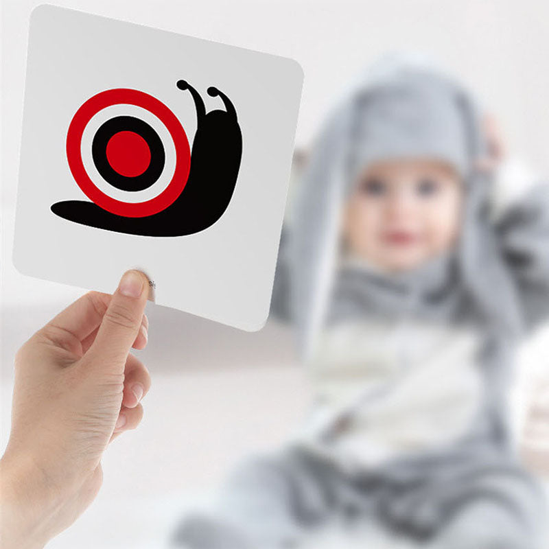 Infant Early Education Visual Stimulation Card Educational Toys